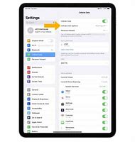 Image result for iPad Pro Cellular Settings