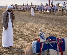 Image result for Arabian Camel Racing