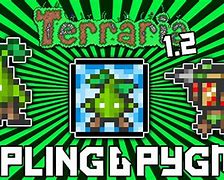 Image result for Terraria Pet Slot