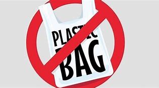 Image result for Plastic Bag Ban