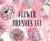 Image result for Free Brushes for Photoshop
