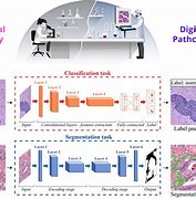 Image result for Digital Pathology Image Analysis