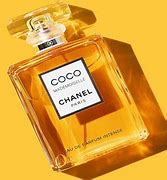Image result for Coco Chanel Book