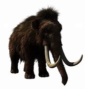 Image result for Biggest Animal in History