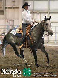 Image result for Western Horse Show