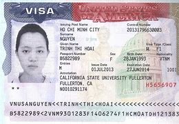 Image result for Visa Number Example