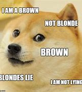 Image result for Brown Dog Meme