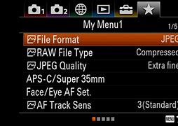 Image result for Sony Menu DMF