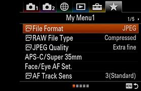 Image result for Sony Spft Menu