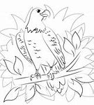Image result for Cool Coloring Pages Eagle
