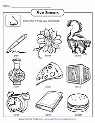 Image result for 5 Senses Worksheet for Kids PDF