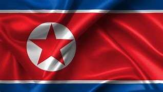 Image result for North Korea National Flag