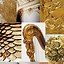 Image result for Gold Girly Aesthetic