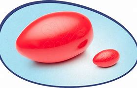 Image result for Vintage Silly Putty