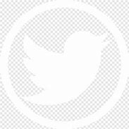 Image result for Twitter X App Logo