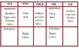 Image result for 6 Day Gym Workout Schedule