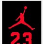 Image result for Jordan Jersey Logo