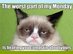 Image result for Grumpy Cat Not Funny