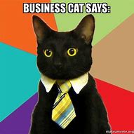 Image result for Business Cat Meme Vet
