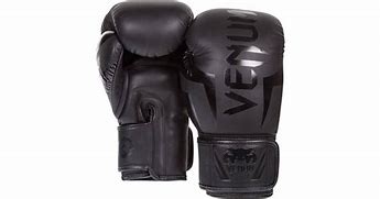 Image result for Boxing Gloves 10Oz