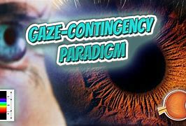 Image result for Gaze-Contingency Paradigm