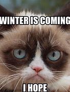 Image result for Winter Is Coming Meme