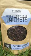 Image result for Cricket Insect Food