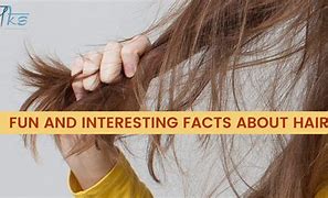 Image result for Fun Facts About Hair