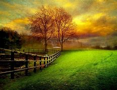 Image result for Fall Field with Sky Background