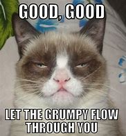 Image result for Grumpy Cat Meme Good
