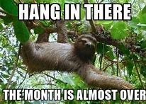 Image result for Hang in There Cat Meme