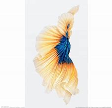 Image result for 4K iPhone 6s Plus Wallpaper