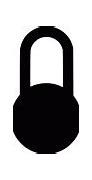 Image result for Padlock Icon