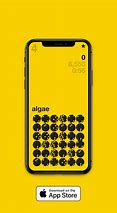 Image result for iPhone 5S Number Screen