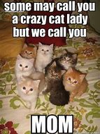 Image result for Cat Lady Memes Funny