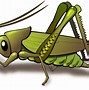 Image result for Grasshopper Cartoon Disney