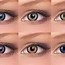 Image result for D40 Colored Contacts