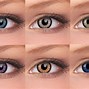 Image result for Types of Contact Lenses