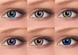 Image result for Animal Eye Contacts