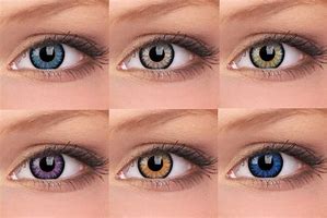 Image result for Enzo Matrix Contact Lens