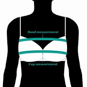 Image result for Finding Bra Size Chart
