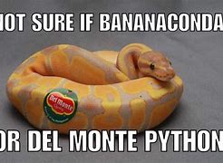 Image result for Snake Memes