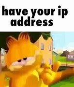 Image result for Garfield IP Address Meme
