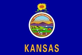 Image result for Cool Kansas Flag
