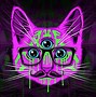 Image result for Galaxy Cat Art Wich