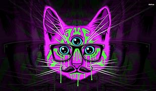 Image result for Galaxy Glasses Cat