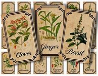 Image result for Vintage Spice Jar Labels