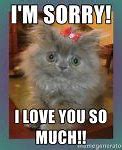 Image result for Cutest Sorry Memes