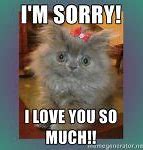 Image result for Sorry Meme Cute