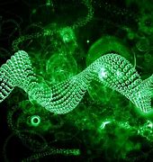 Image result for Biomedical Engineering Wallpaper